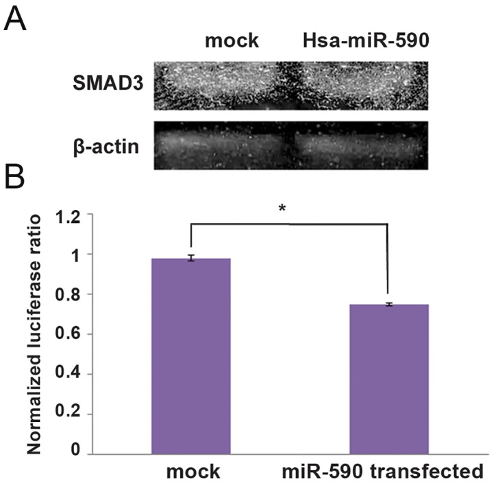 Fig.3