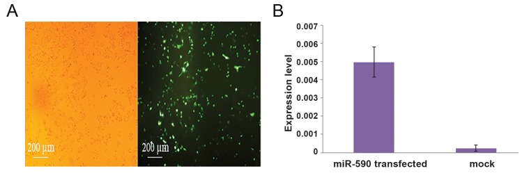 Fig.2