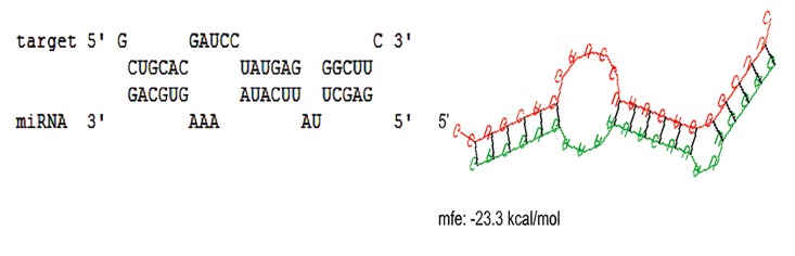 Fig.1