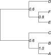 <sc>Fig</sc>. 8.