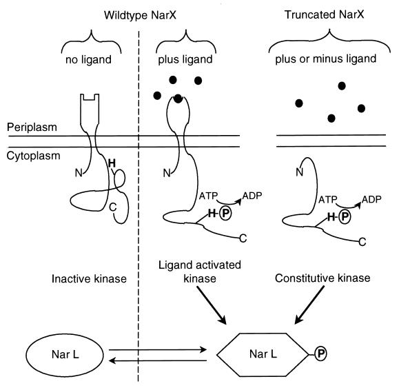 FIG. 9