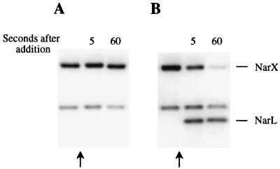 FIG. 6