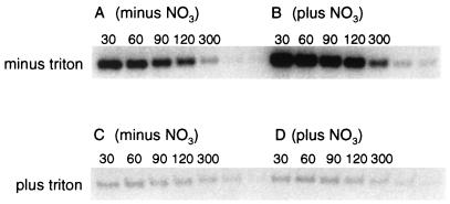 FIG. 8