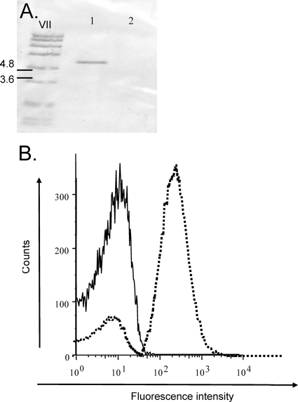 FIG. 4.