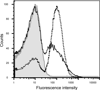 FIG. 1.