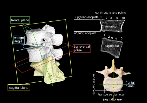 Figure 1