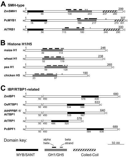 Figure 2.