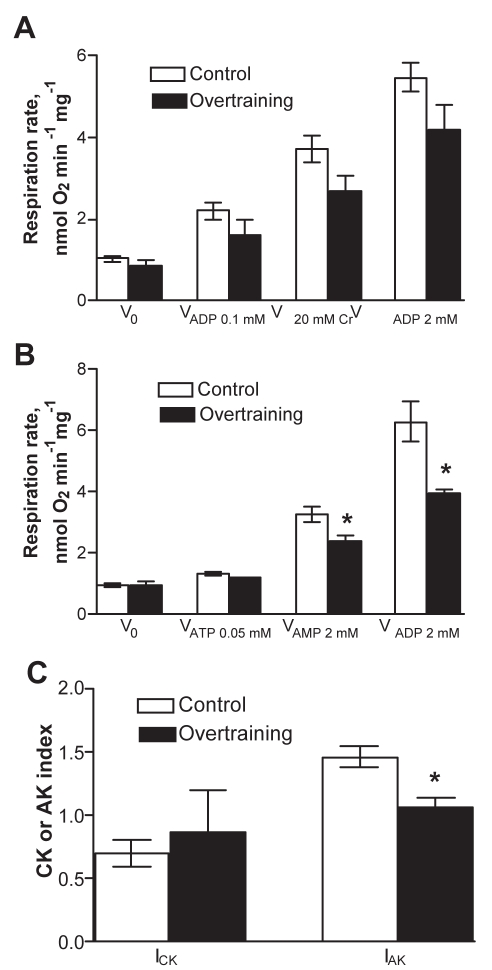 Figure 6)