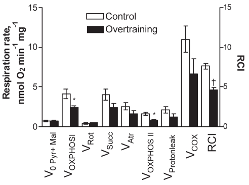 Figure 4)