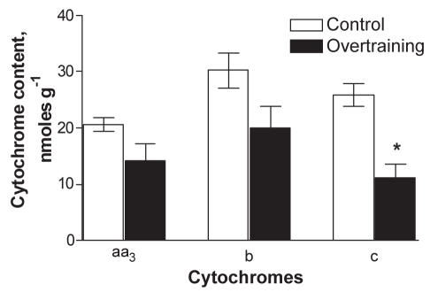 Figure 5)