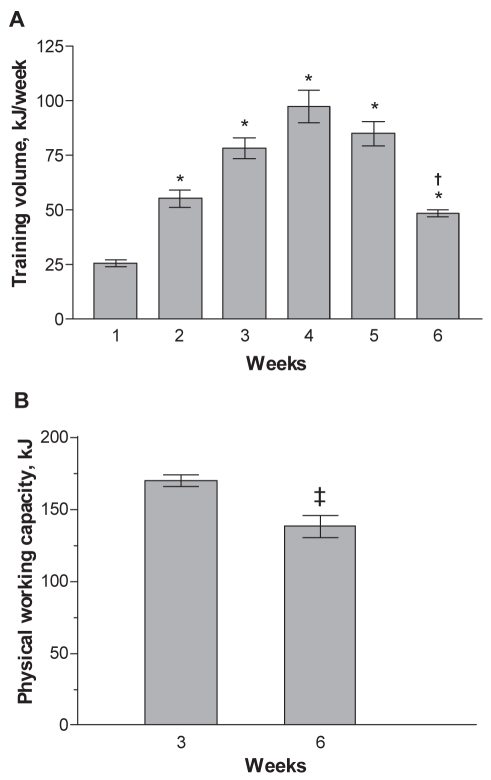 Figure 1)