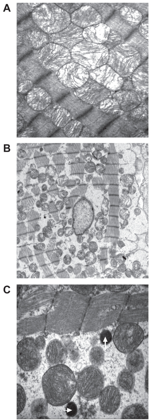 Figure 3)