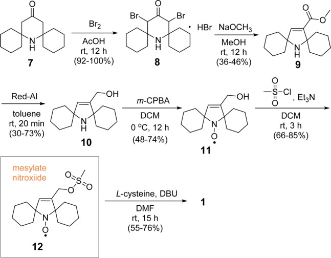 Scheme 1