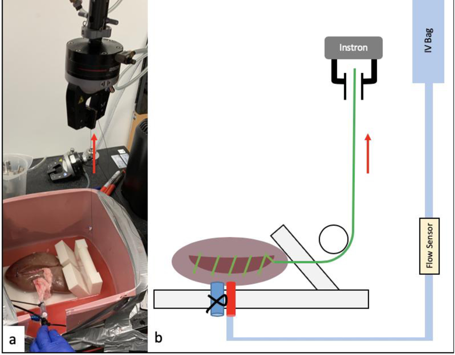 Figure 5: