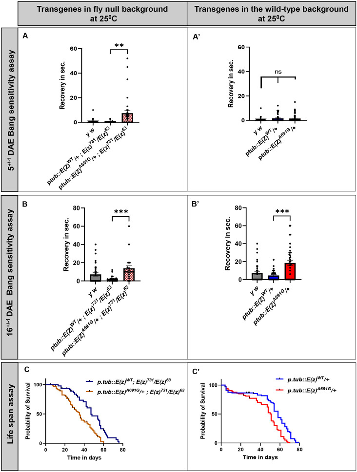 Figure 4: