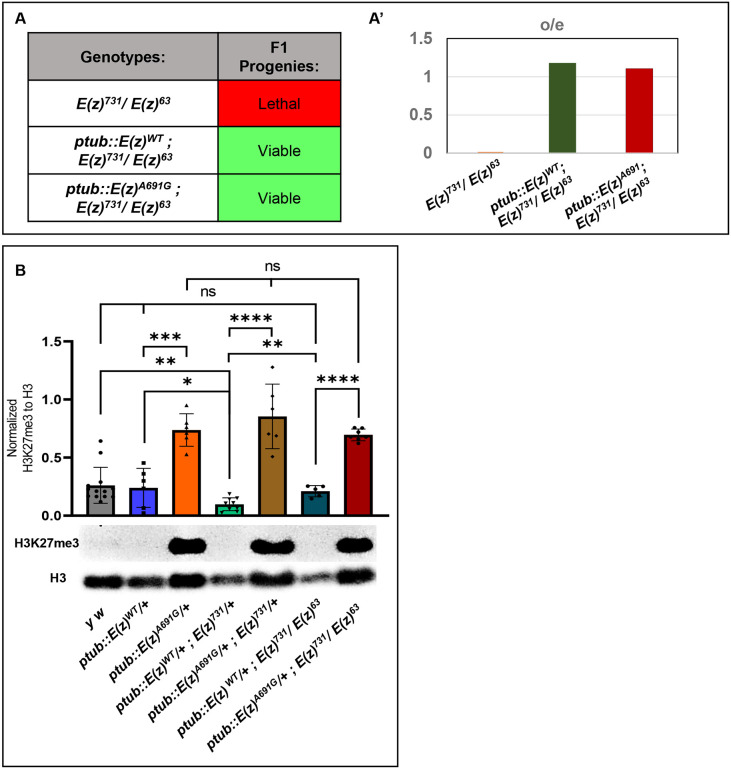 FIGURE 3: