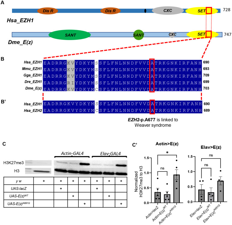 Figure 2: