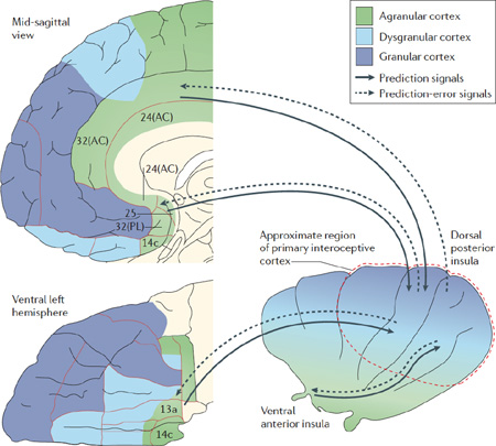 Hypotheses for the EPIC model of active interoceptive inference