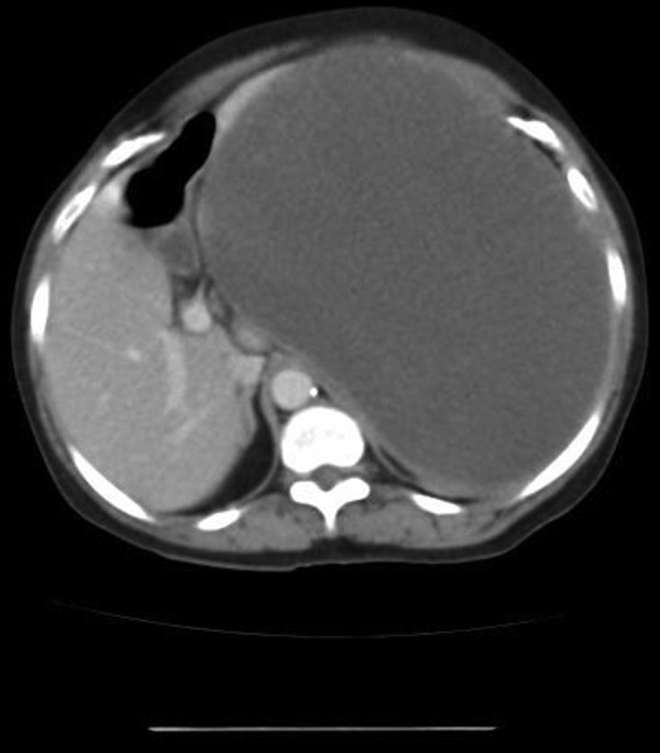 Figure 3