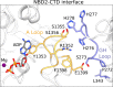 Figure 6—figure supplement 3.