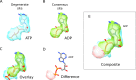 Figure 3—figure supplement 1.