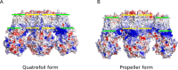 Figure 6—figure supplement 1.