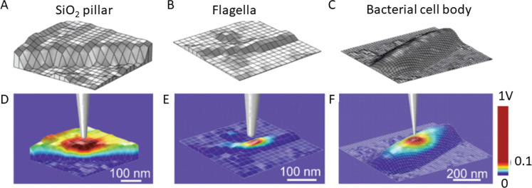 Figure 9