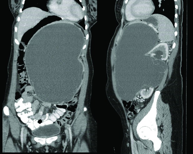 Fig. 1.