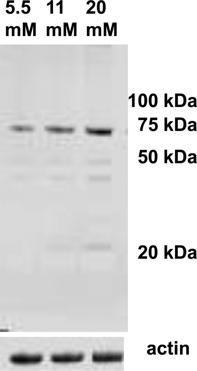 Figure 7.