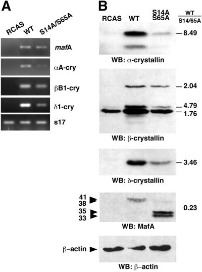 FIG. 7