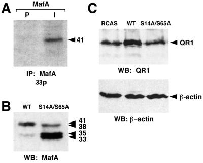 FIG. 6