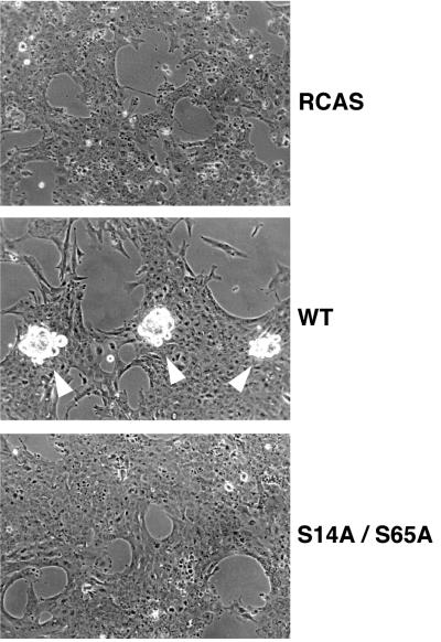 FIG. 9