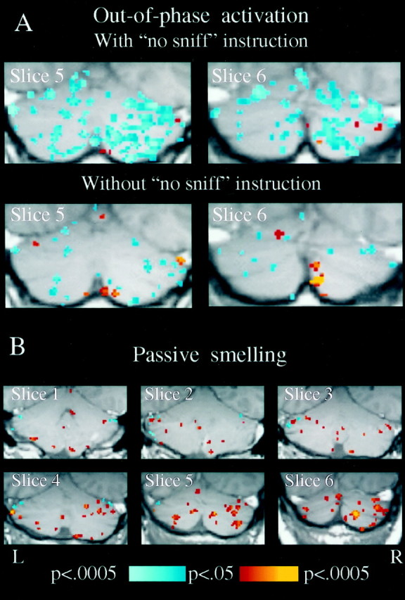 Fig. 10.