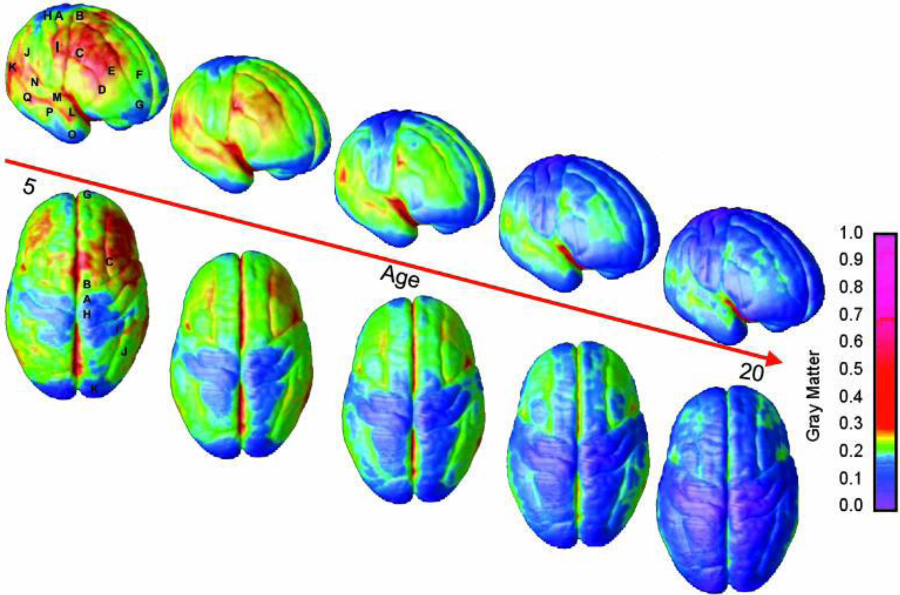 Figure 1: