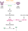 Fig. 7