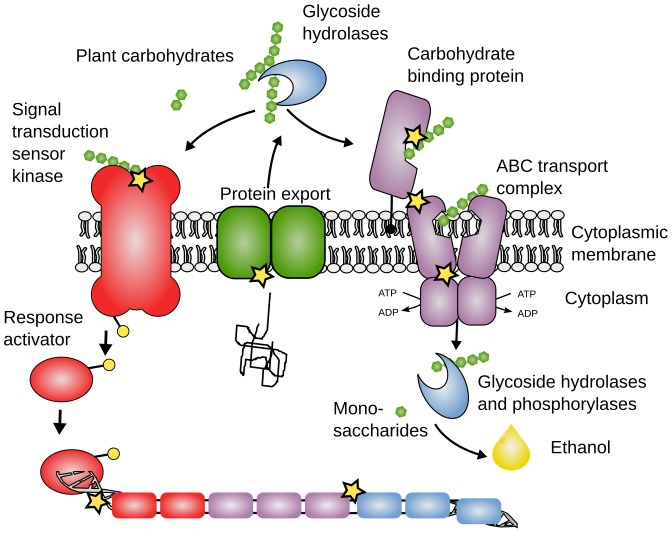 Figure 9