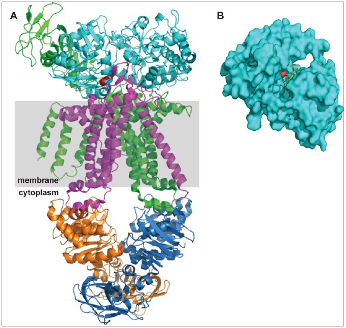 Figure 6