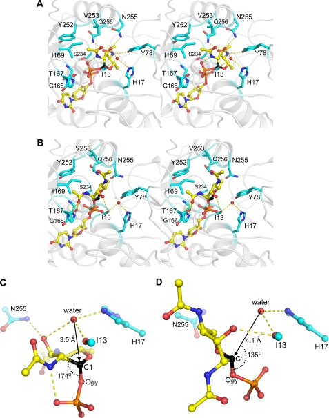 FIGURE 4.