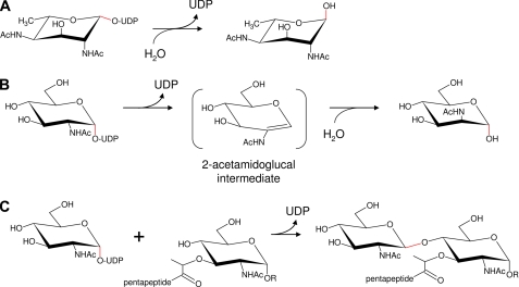 FIGURE 2.