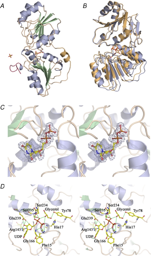 FIGURE 3.