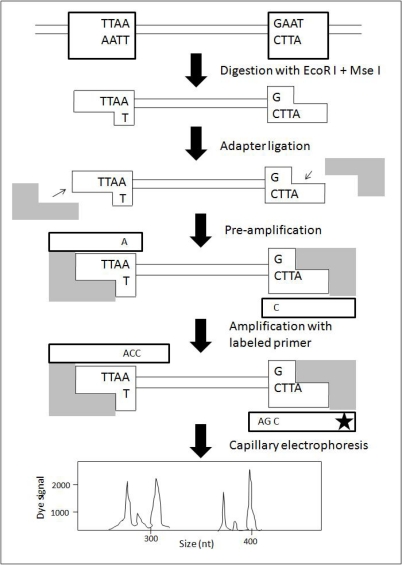 Figure 5.