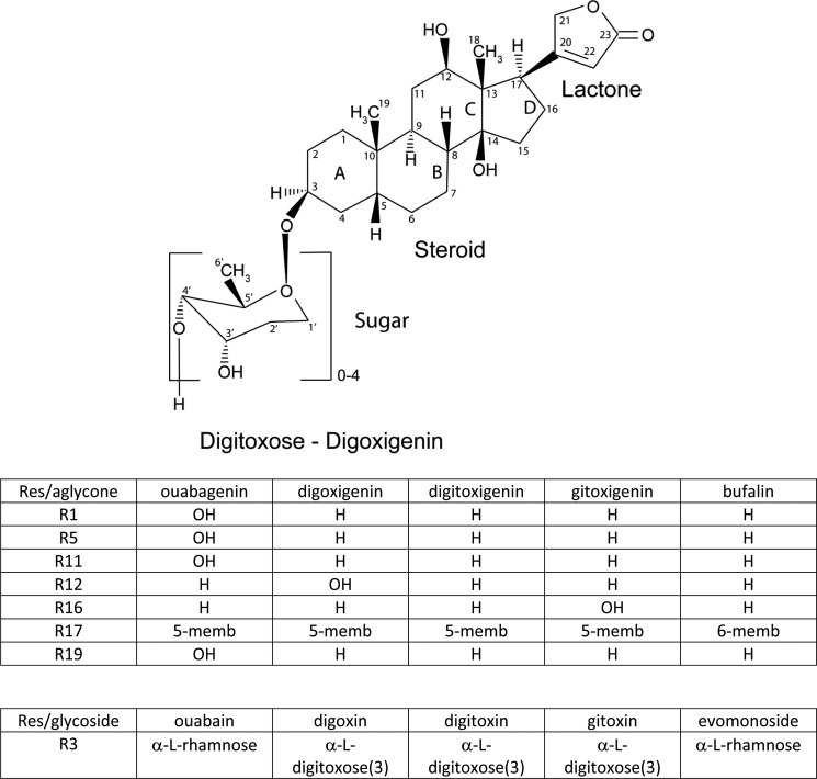 FIGURE 1.