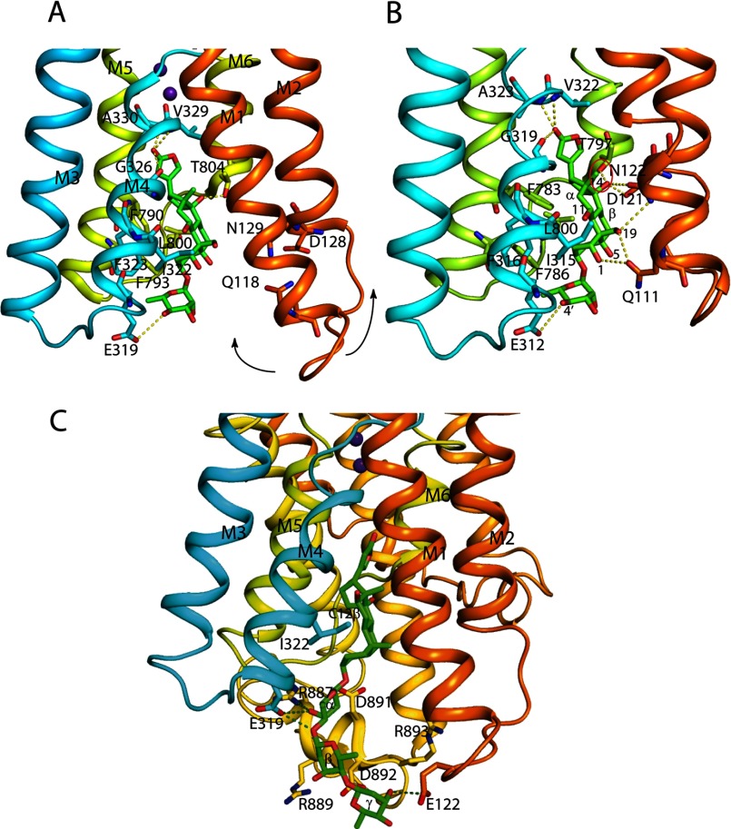 FIGURE 12.