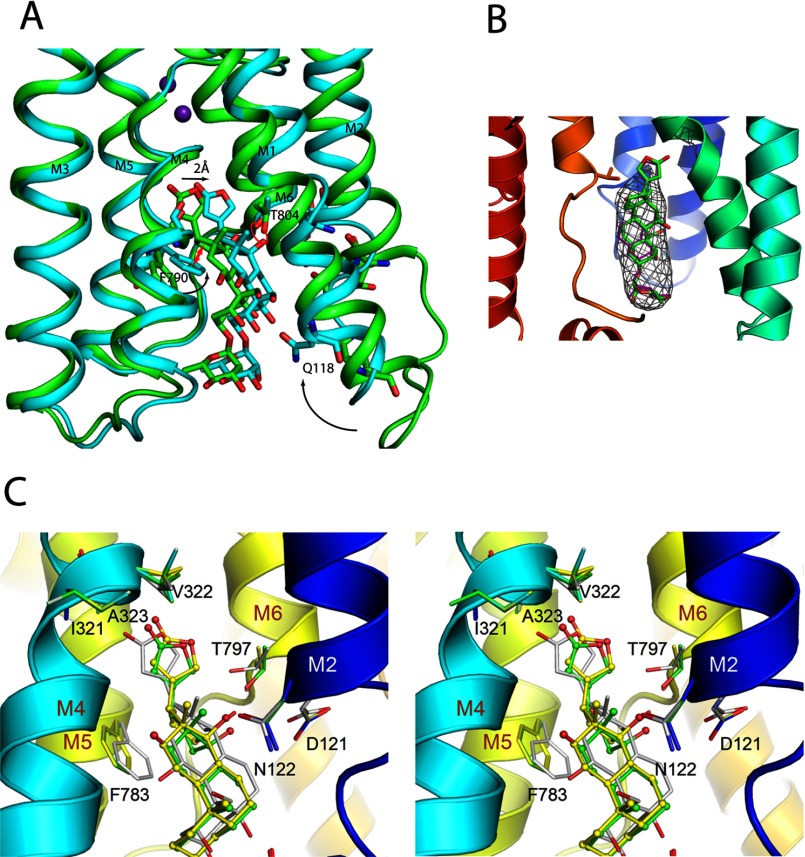 FIGURE 13.