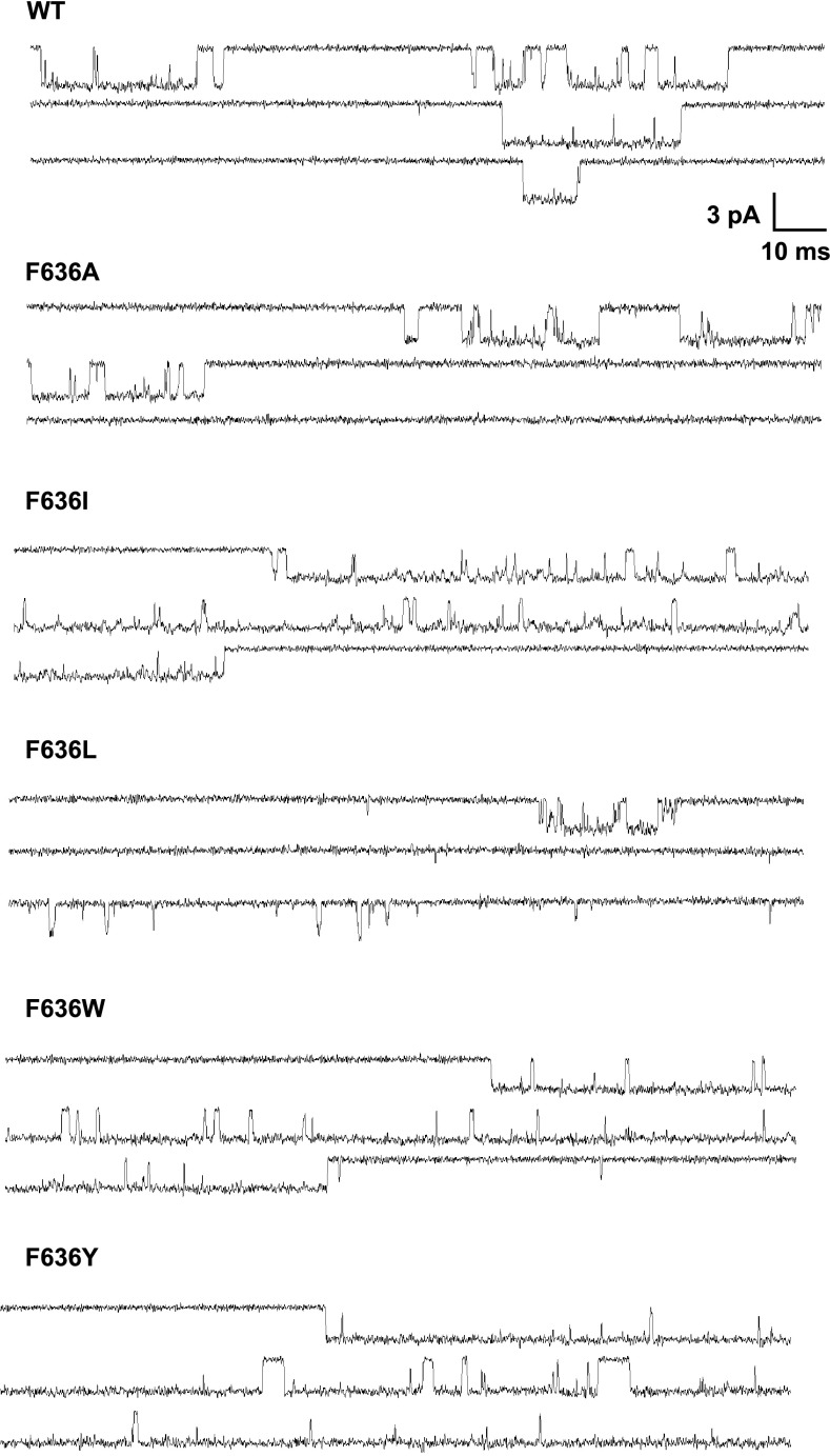 Fig. 7.