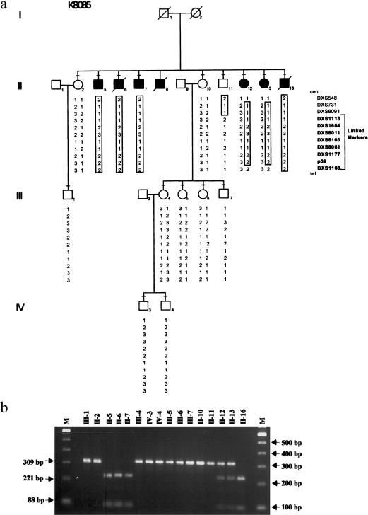 Figure  1