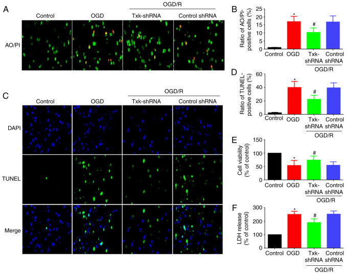 Figure 4.