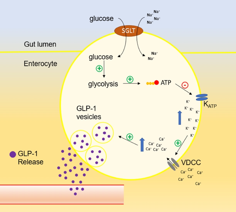 Fig 1: