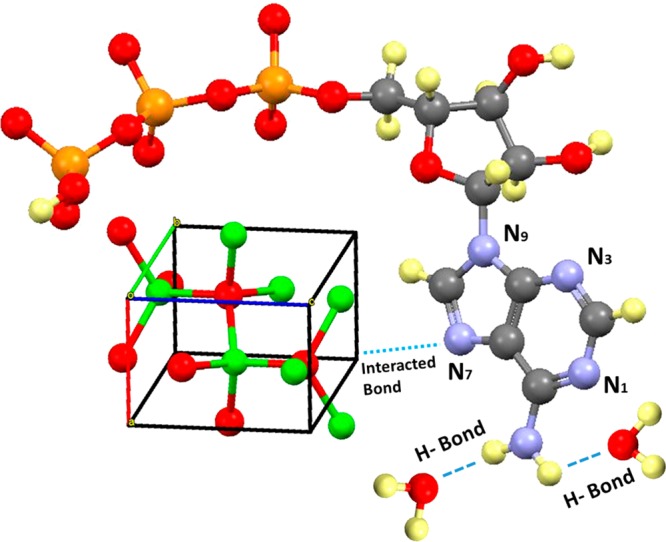 Figure 6