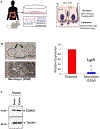 Fig. 4: